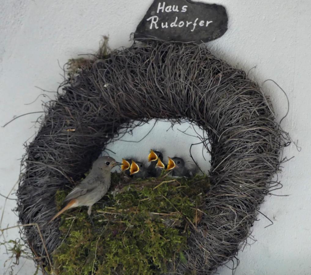 Ferienweingut Rudorfer Hotel ฟาลวิก ภายนอก รูปภาพ