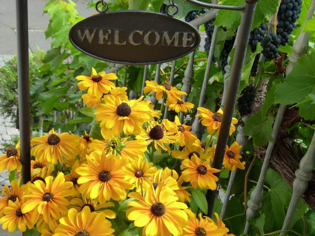 Ferienweingut Rudorfer Hotel ฟาลวิก ภายนอก รูปภาพ