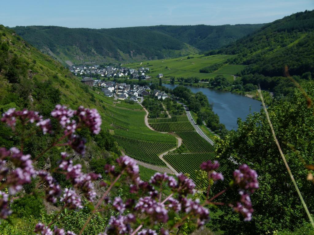 Ferienweingut Rudorfer Hotel ฟาลวิก ภายนอก รูปภาพ